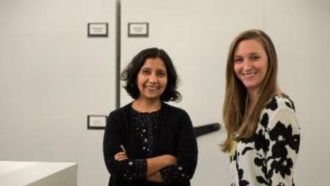 Collage of two faculty members standing next to each other