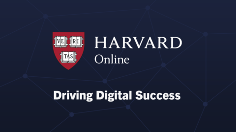 Driving Digital Success
