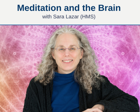 meditation and the brain