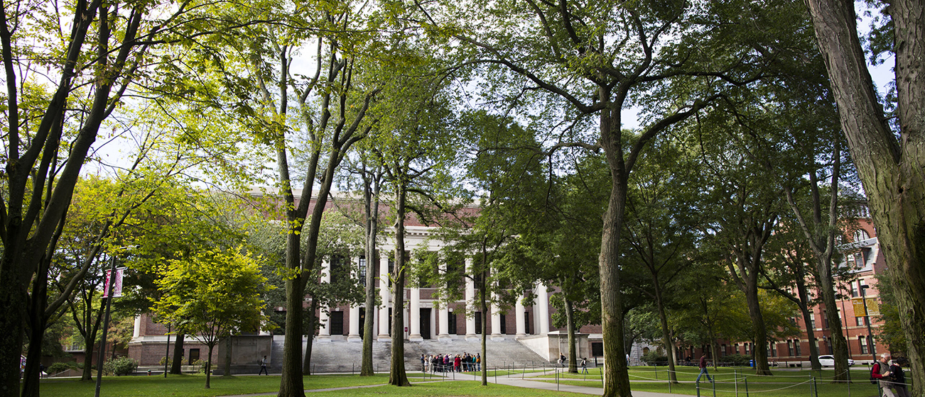 Harvard Yard